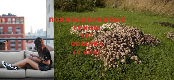 соль курить ск Армянск