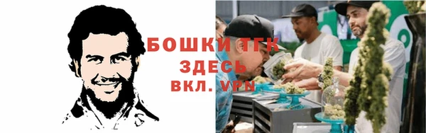 спайс Арсеньев