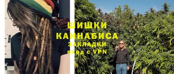 спайс Арсеньев